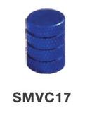 SMVC17